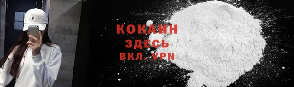 дмт Кодинск