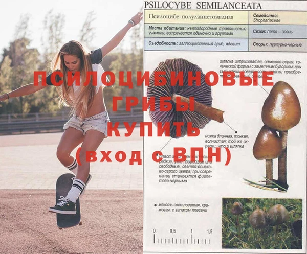 марки nbome Козельск