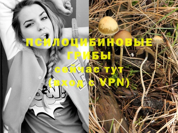 бутират Козловка