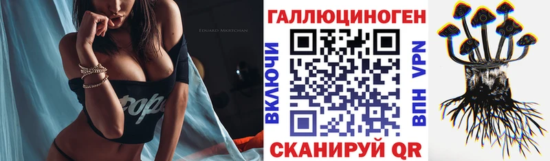 Псилоцибиновые грибы GOLDEN TEACHER  Купить  Динская 